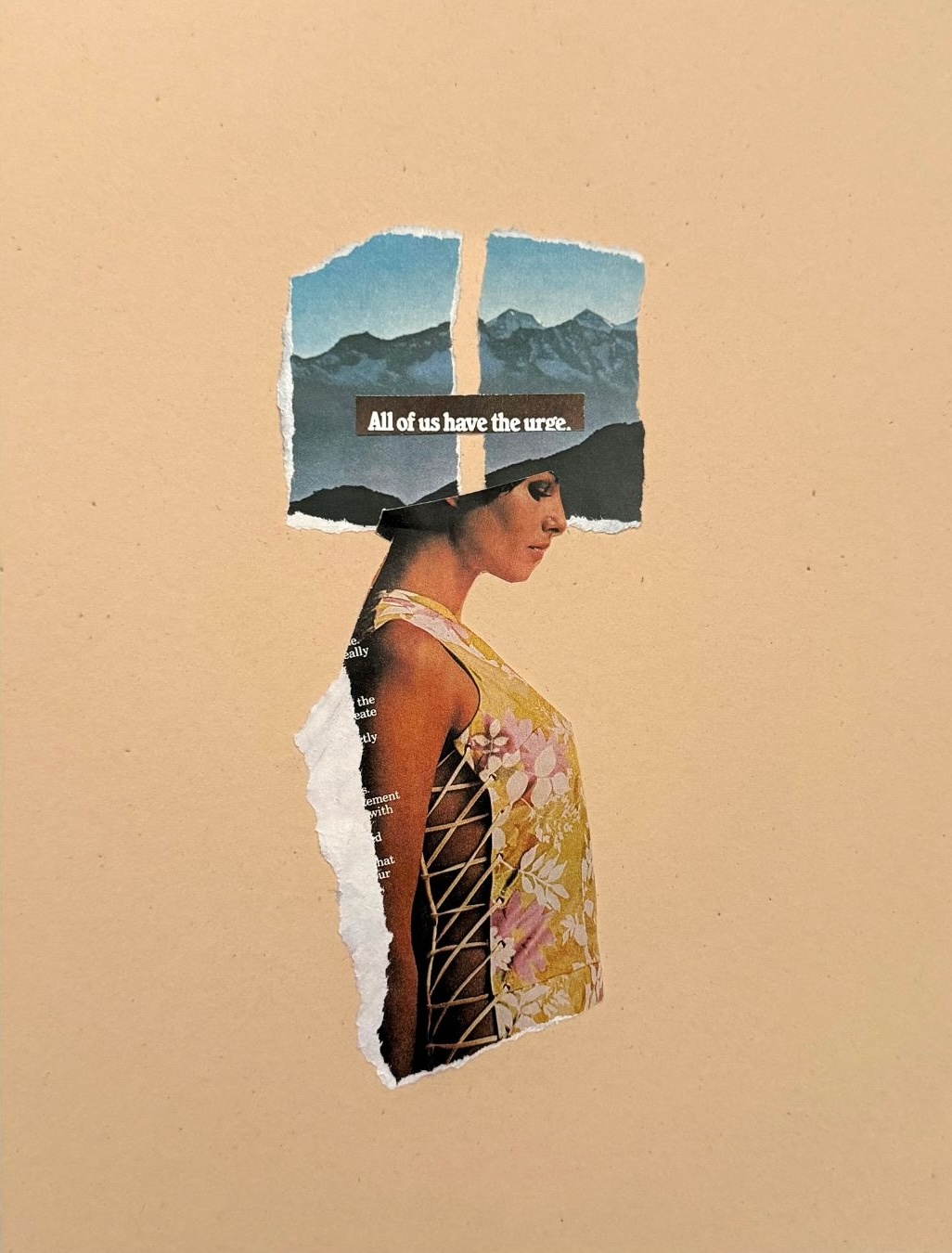 Andrea Bravo , Collage II