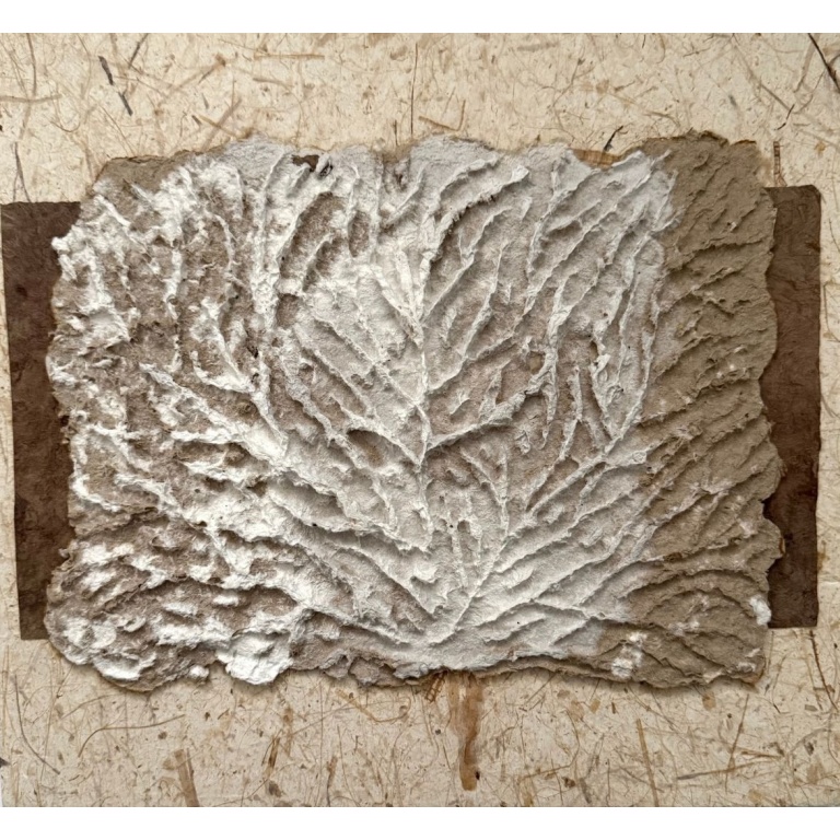 Técnica mixta en papel I